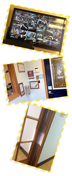 Safety Cameras, Security Doors